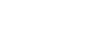 White Logo - Healing Dentistry